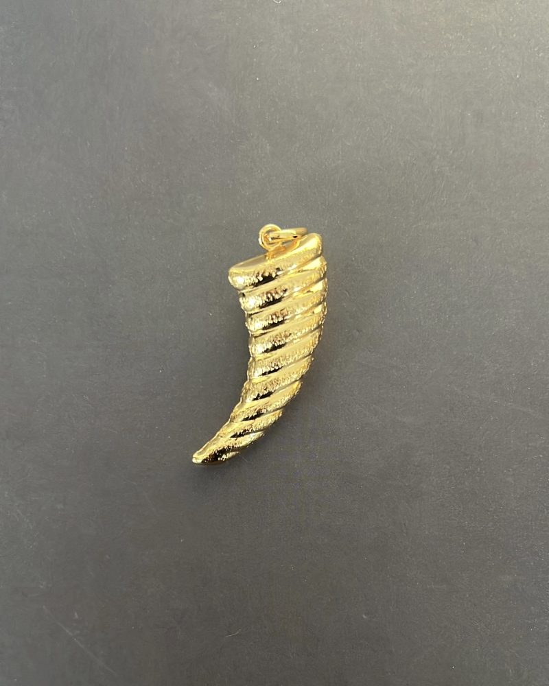 Shell Pendant