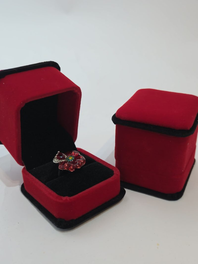Fancii Red Ring Case