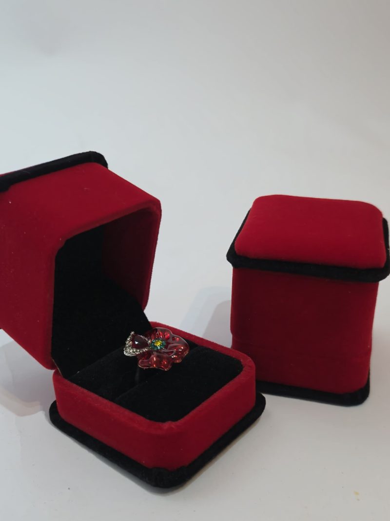 Fancii Red Ring Case