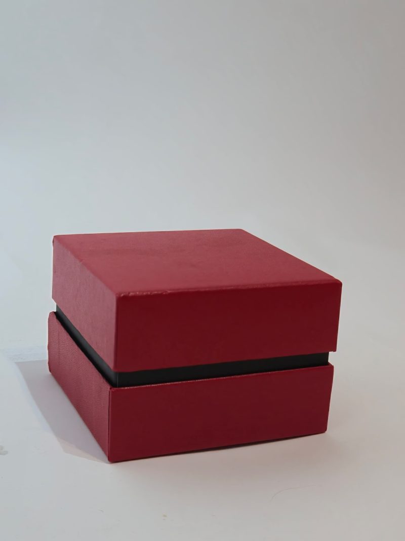 Fancii Maxi Watch/Jewelry Box