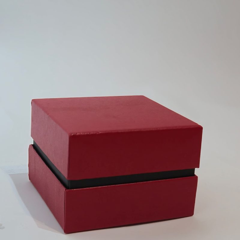 Fancii Maxi Watch/Jewelry Box