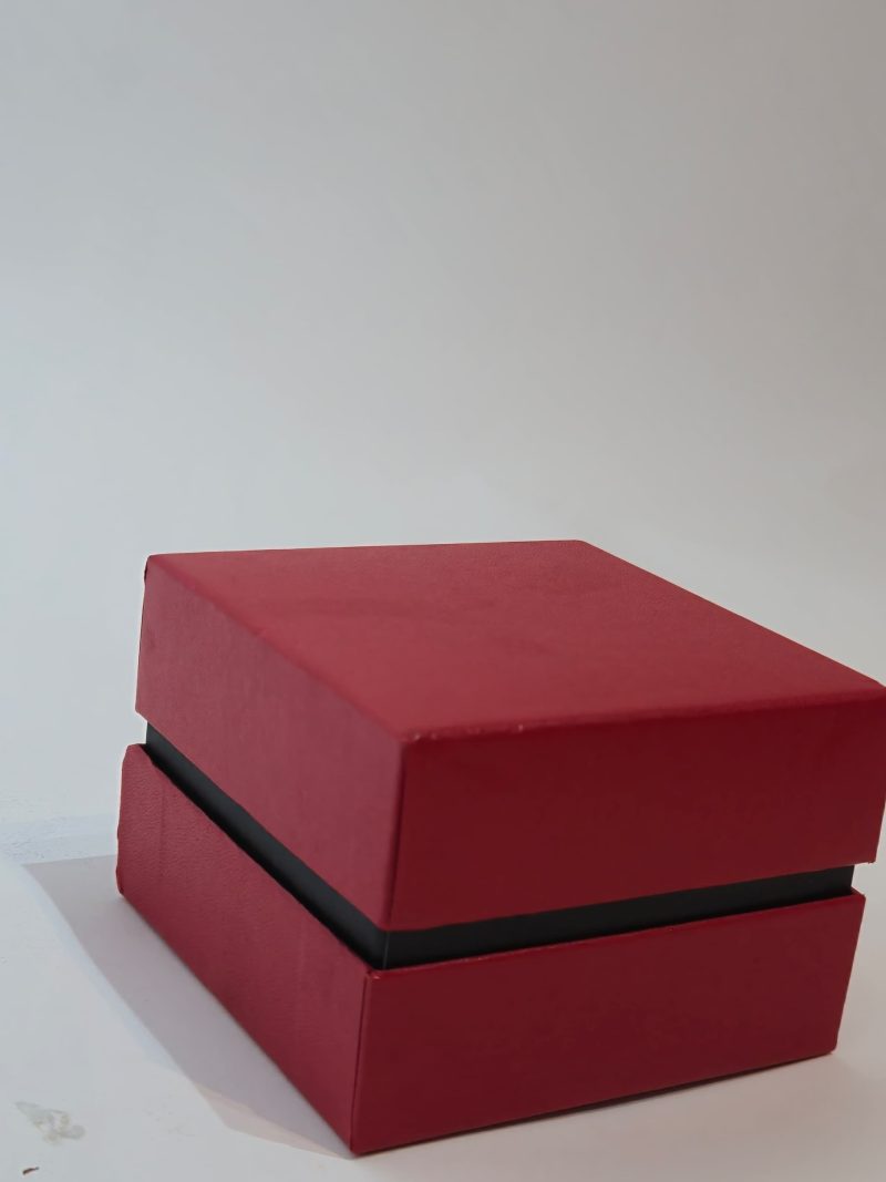 Fancii Maxi Watch/Jewelry Box