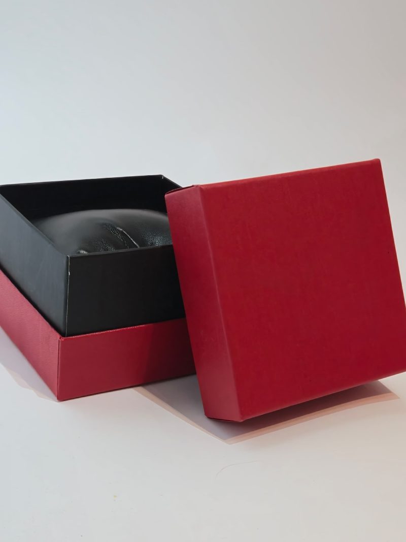 Fancii Maxi Watch/Jewelry Box